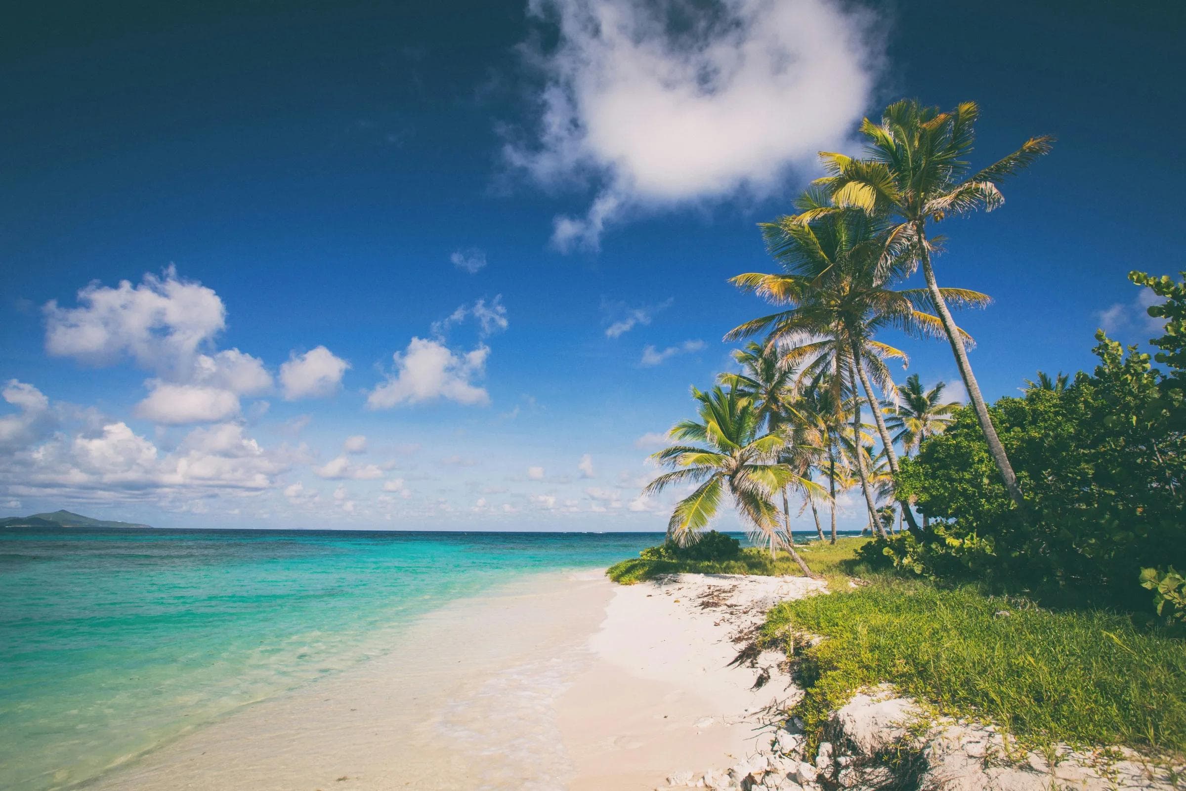 Tropical Caribbean beach with white sand, palm trees, and turquoise water under blue sky